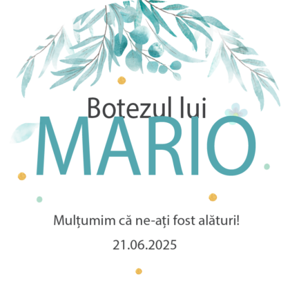 Tag pentru botez băieței personalizat – tematică petrecere 5 cm